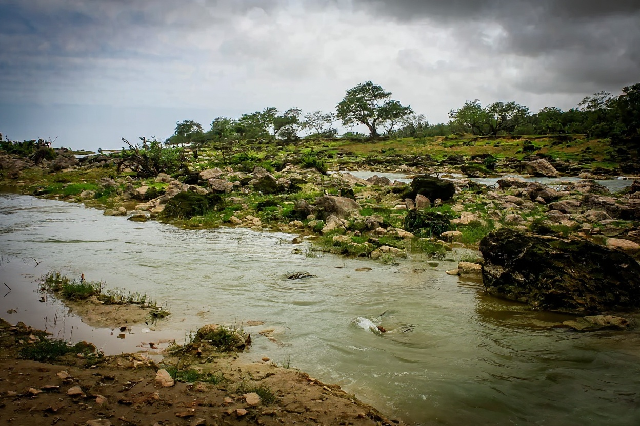 The Frankincense Route: Wadi Dawkah and Al Balid — Salalah Oman, Vietnam
